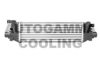 AUTOGAMMA 103719 Intercooler, charger